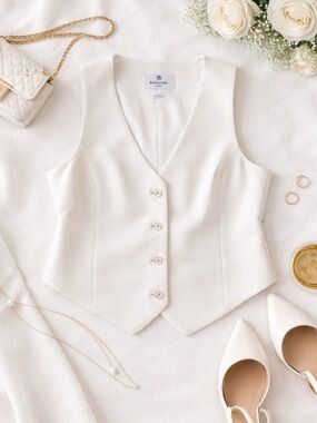 Aritzia Babaton Deniro Vest